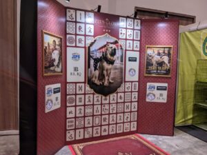 Jasa Sewa Backdrop Custom Terdekat